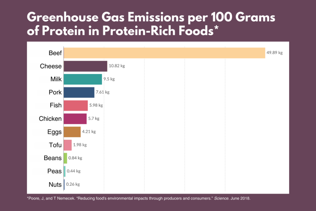 Greenhouse Gas Emissions per 100 Grams of Protein in Protein-Rich Foods